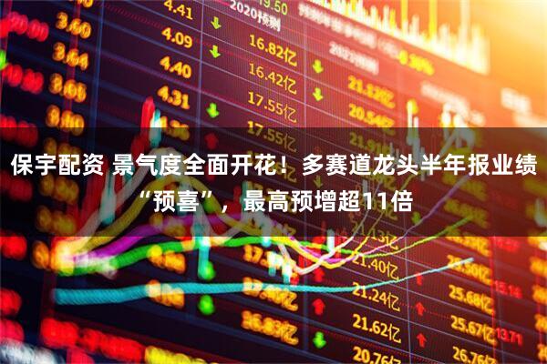 保宇配资 景气度全面开花！多赛道龙头半年报业绩“预喜”，最高预增超11倍